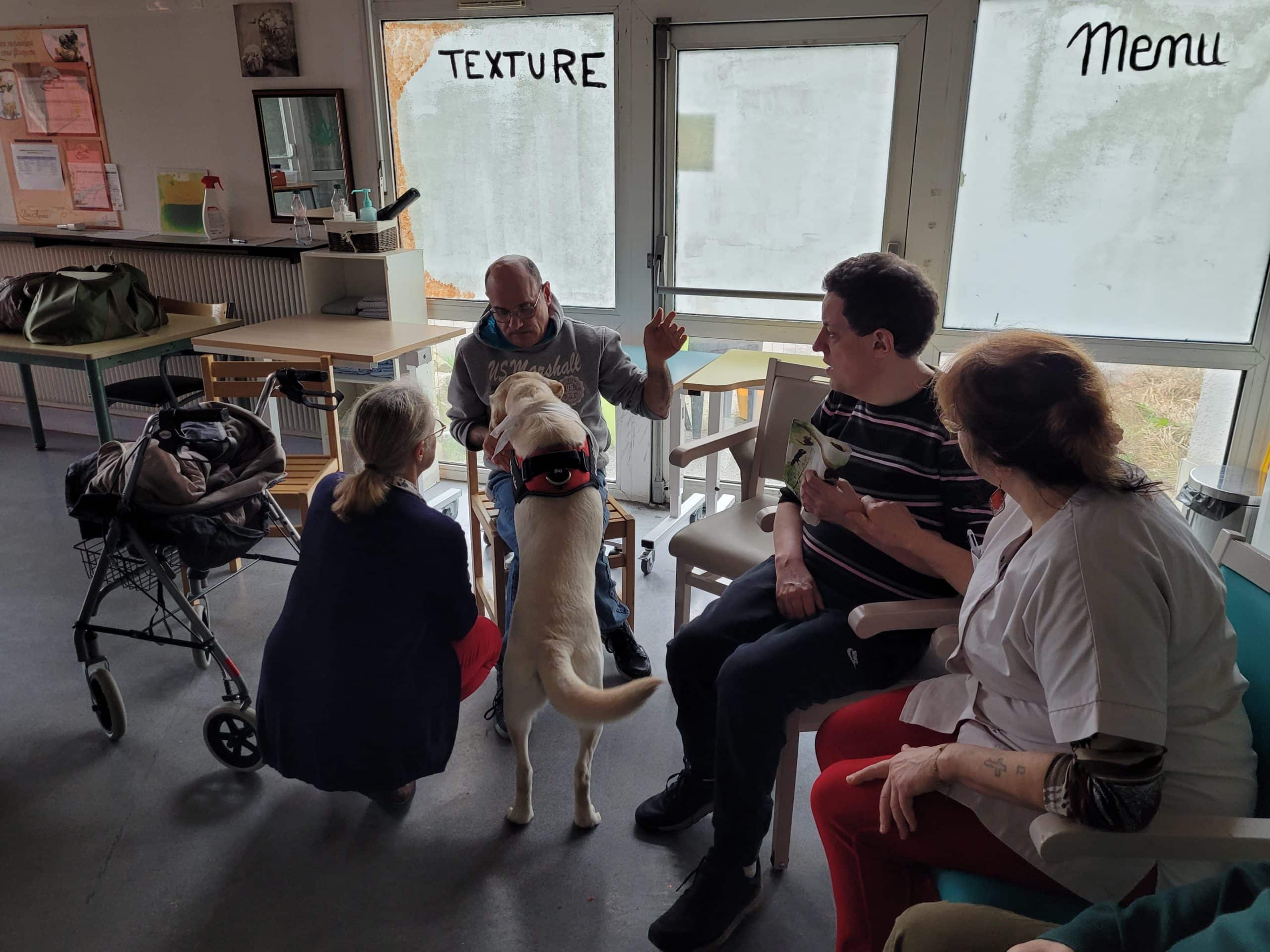 activite mediation animale papillons blancs bourgogne du sud