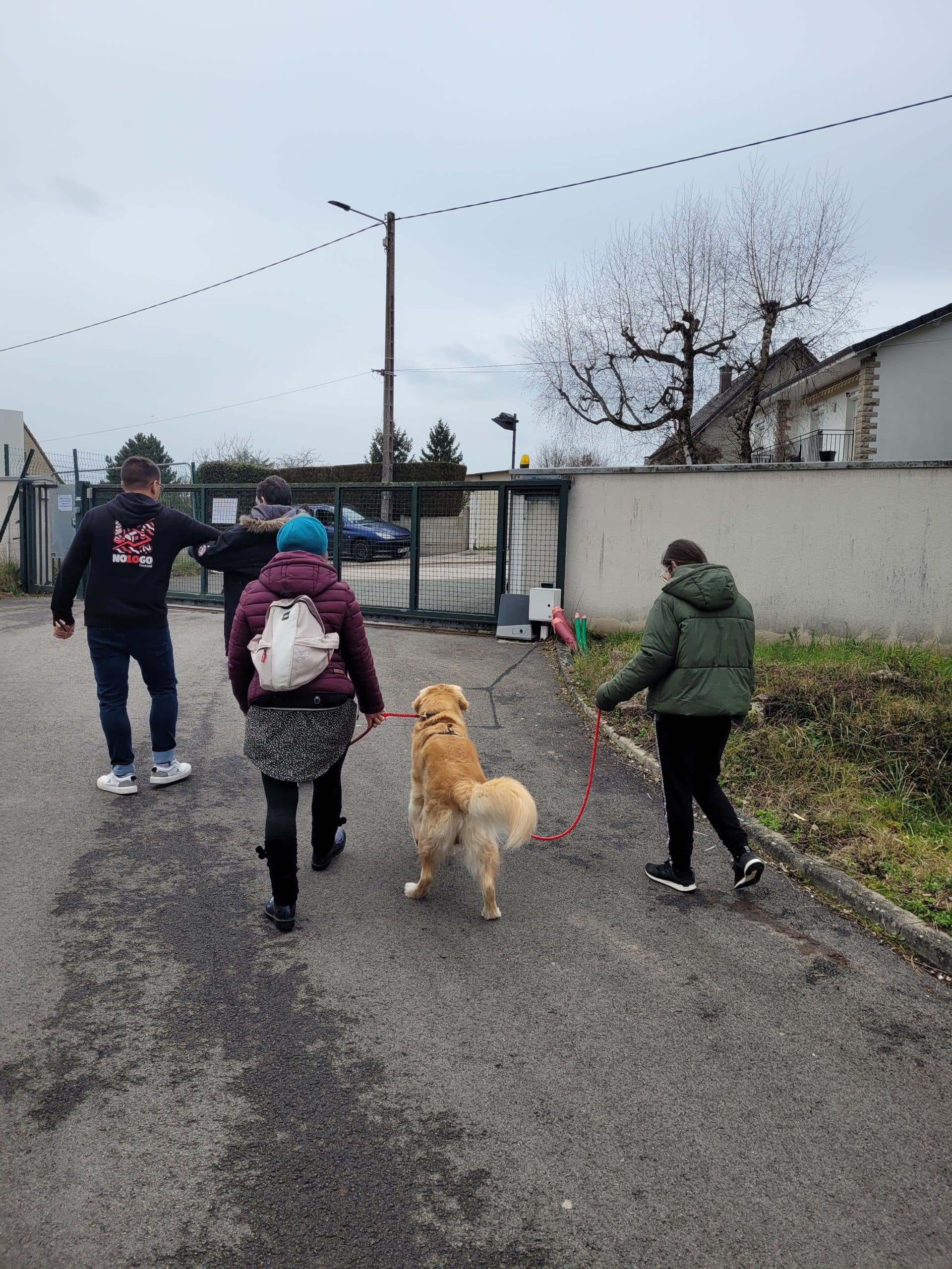 balade chiens mas les catalpas