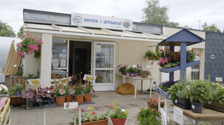 magasin de l'esat pour vendre fleurs et plantes du pole horticulture de l'esat des papillons blancs bourgogne sud