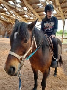 mediation animale chevaux enfants