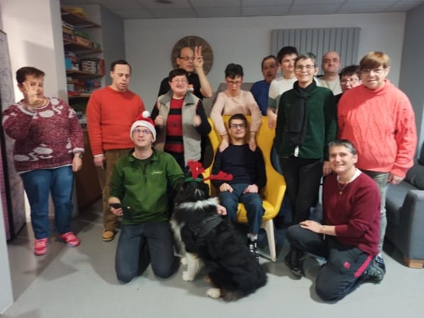 mediation animale en groupe
