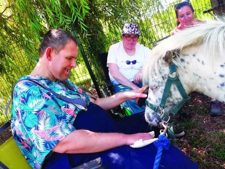 papillons blancs fiche eam le mirandis residents et cheval