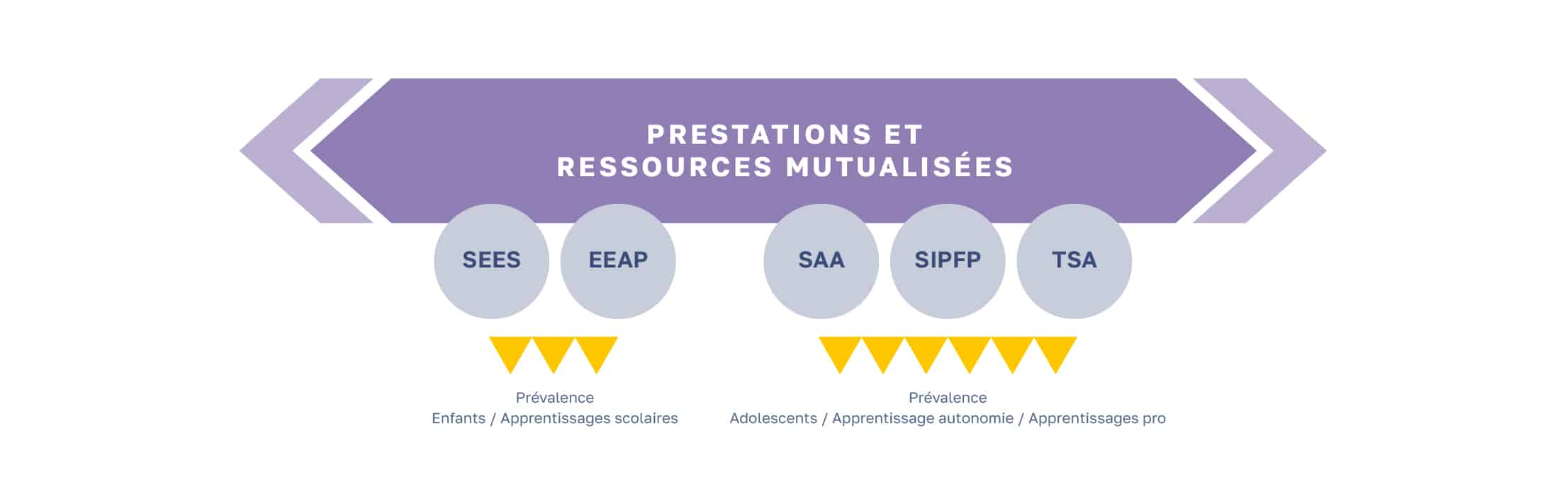 dispositif d'accopagnement medico educatif