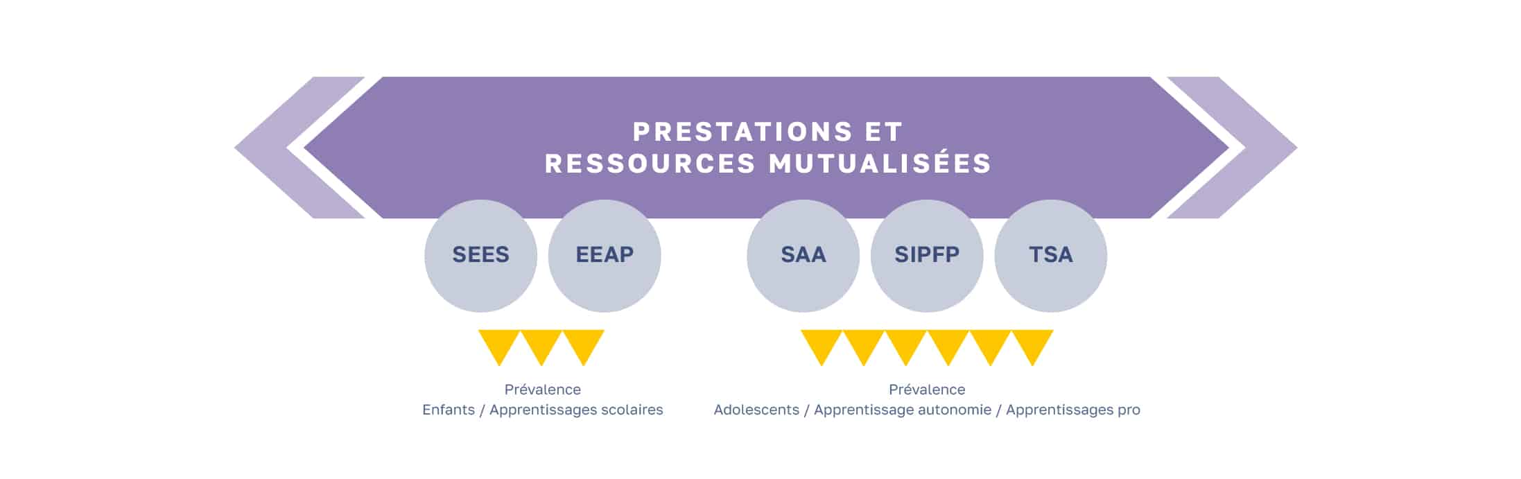 dispositif d'accopagnement medico educatif