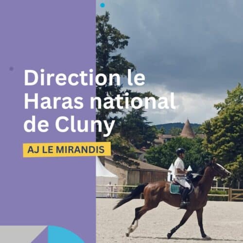 aj mirandis cheval