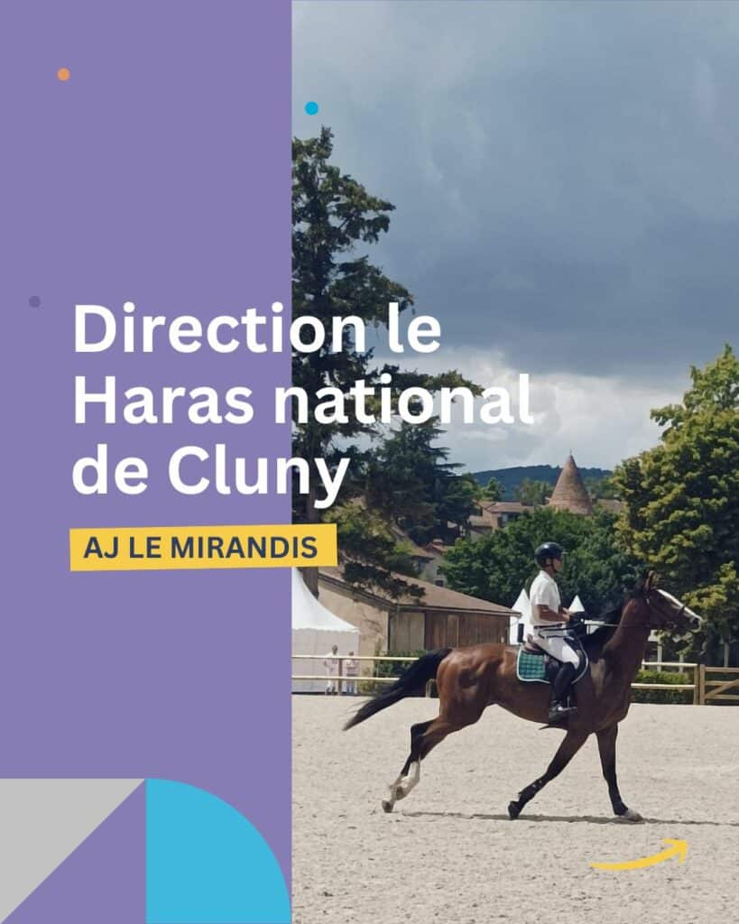 aj mirandis cheval