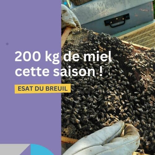 apiculture esat miel 200 kg