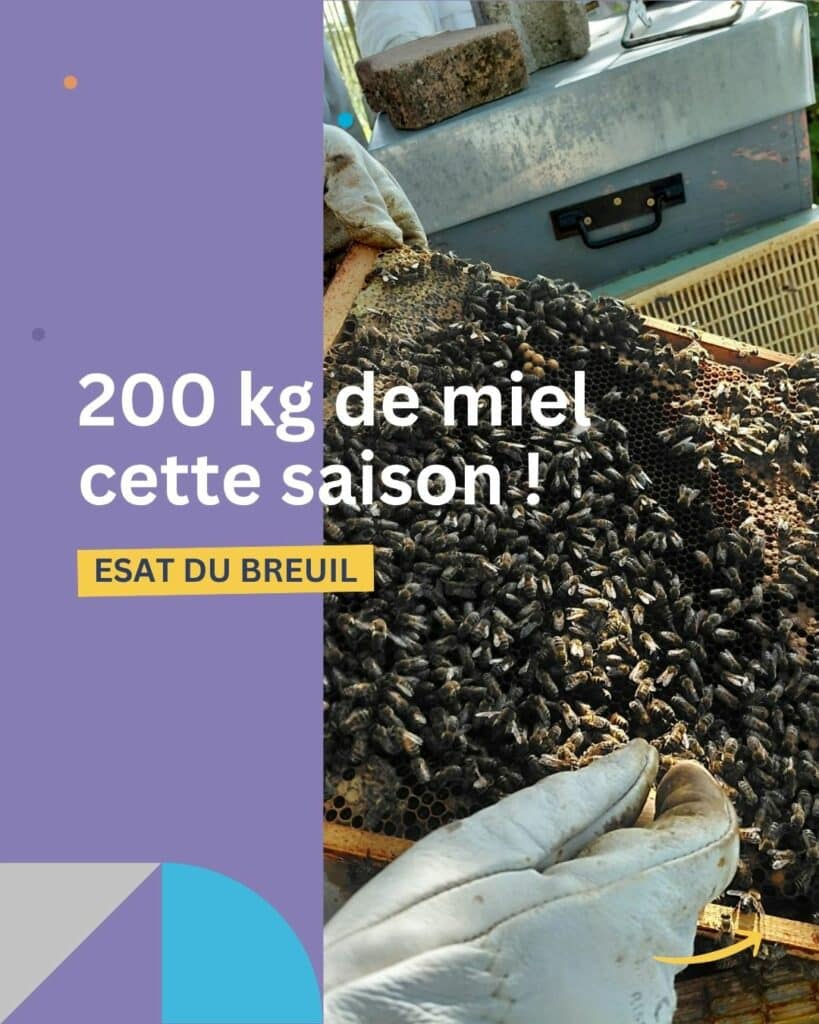 apiculture esat miel 200 kg